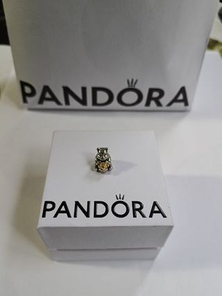 Charm Winnie the Pooh