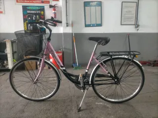 Bicicleta Paseo Adulto Rosa