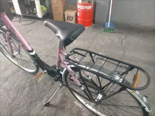 Bicicleta Paseo Adulto Rosa