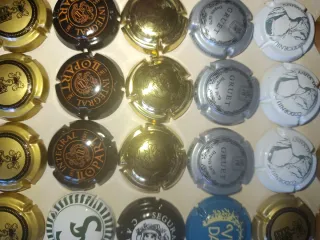 Chapada de cava y champagne (63)