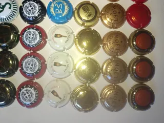 Chapada de cava y champagne (63)