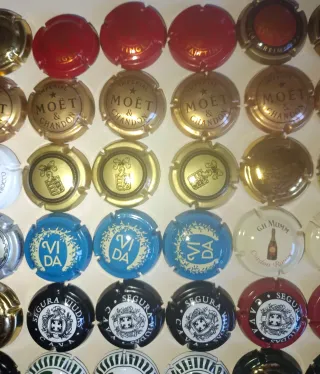 Chapada de cava y champagne (63)