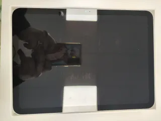 iPad 10ª Gen 64GB WiFi Plata A2696