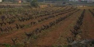 Terreno en venta en Teulada Pueblo en Teulada