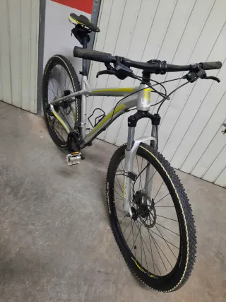 Bicicleta da Montagna MTB Argento