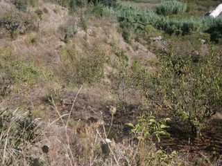 Terreno en venta en Torrelles de Llobregat