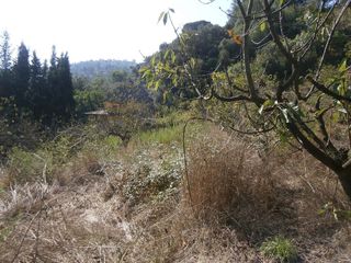 Terreno en venta en Torrelles de Llobregat