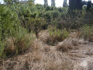 Terreno en venta en Torrelles de Llobregat