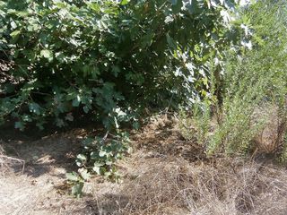 Terreno en venta en Torrelles de Llobregat