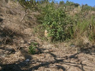 Terreno en venta en Torrelles de Llobregat