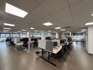 Oficina en alquiler en La Indioteria en Palma de Mallorca