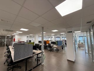 Oficina en alquiler en La Indioteria en Palma de Mallorca