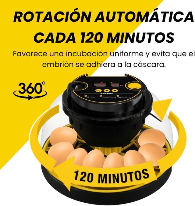 NUOVO - Incubatrice automatica per 12-16 uova