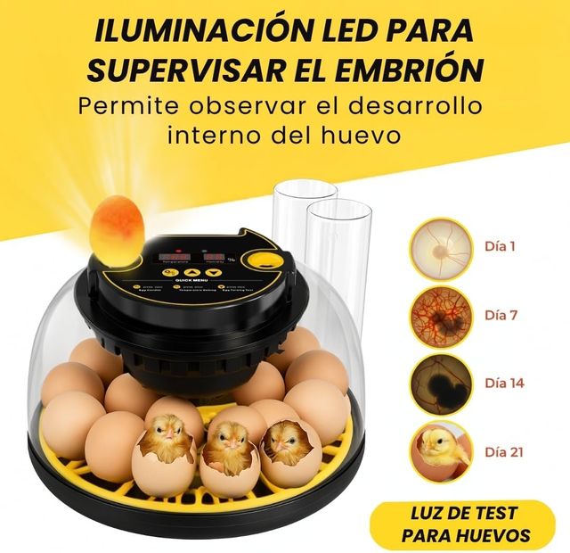 NUOVO - Incubatrice automatica per 12-16 uova