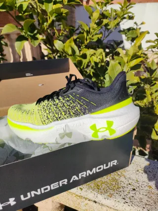 Zapatillas Under Armour Infinite Elite. Running.