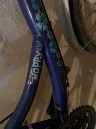 Bicicleta Joppy Go Sport