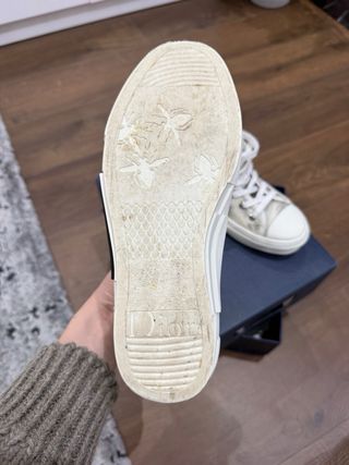 zapatillas converse xDior