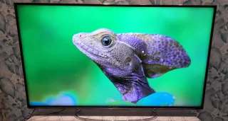 Panasonic 55"