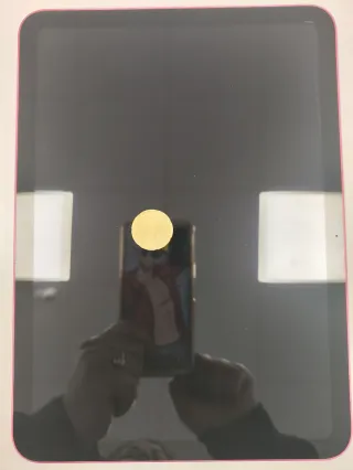 iPad 10ª Gen 256GB WiFi Rosa A2696 BAT100%