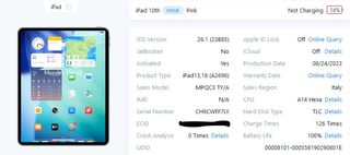 iPad 10ª Gen 256GB WiFi Rosa A2696 BAT100%