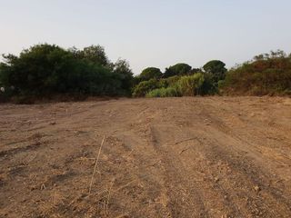 Solar en venta en Sotogrande Alto en San Roque