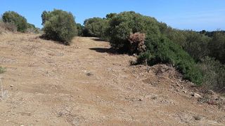 Solar en venta en Sotogrande Alto en San Roque