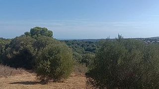 Solar en venta en Sotogrande Alto en San Roque