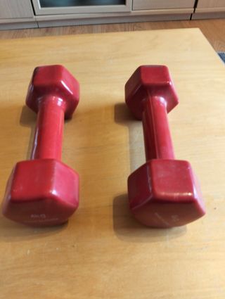 Manubri da 4 kg (Rossi)