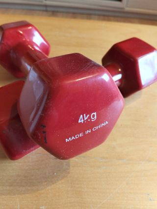 Manubri da 4 kg (Rossi)