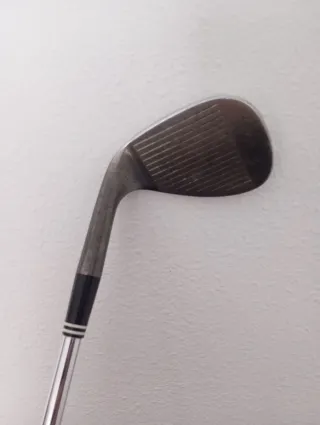 Palo de golf Cleveland CG12