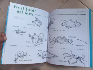 Estás aquí Un libro interactivo de la Tierra, d...
