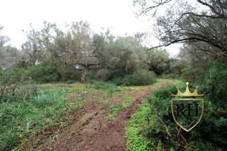 Terreno en venta en Felanitx