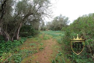 Terreno en venta en Felanitx