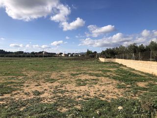 Terreno en venta en Hellín