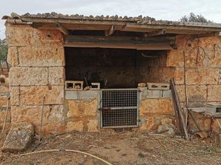 Terreno en venta en Santa Margalida en Santa Margalida