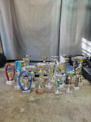 Lote de Trofeos Varios