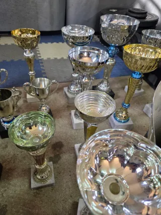 Lote de Trofeos Varios