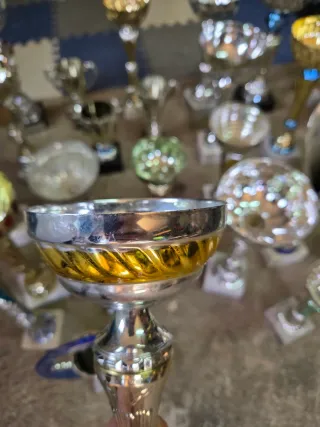 Lote de Trofeos Varios