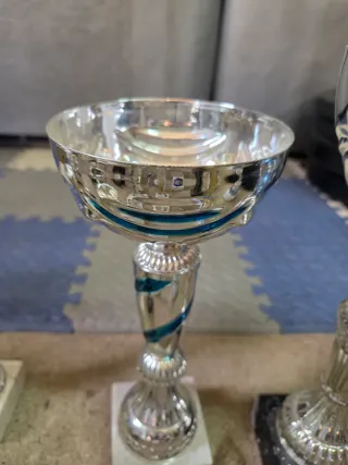 Lote de Trofeos Varios