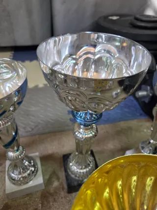 Lote de Trofeos Varios