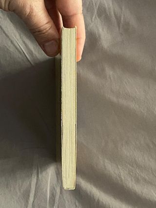 Un gat educat no es tira petarrots – Stilton