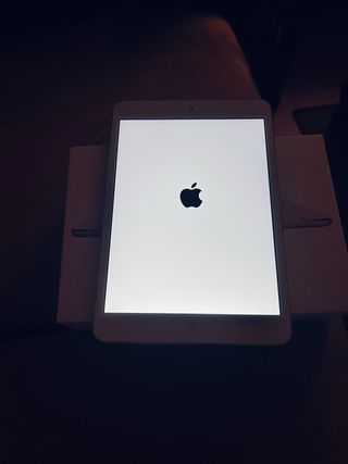 Apple iPad mini 2 Plata