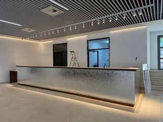 “Presupuesto gratuito”. Pladurista profesional.