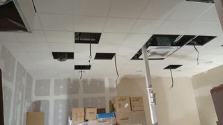 “Presupuesto gratuito”. Pladurista profesional.