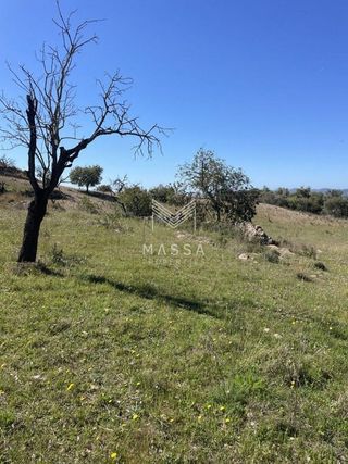 Terreno en venta en Sant Llorenç des Cardassar