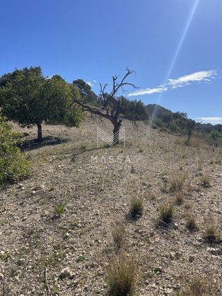 Terreno en venta en Sant Llorenç des Cardassar