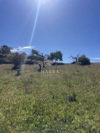 Terreno en venta en Sant Llorenç des Cardassar