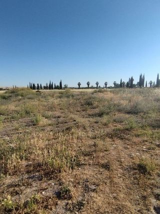 Terreno en venta en El Higuerón en Córdoba