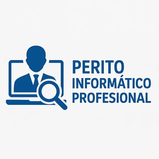 Perito Informático profesional