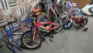 Lote Bicicletas Niños y Adultos